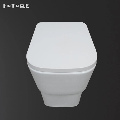 Dual Flush 3L/6L Modern Toilet Back To Wall with P-trap WC Online Manufacturer