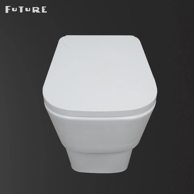 Dual Flush 3L/6L Modern Toilet Back To Wall with P-trap WC Online Manufacturer