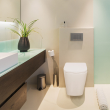 Luxury design bathroom Back To Wall Toilet--BTW920