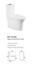 Siphonic One Piece Toilet With S-Trap Antibacterial
