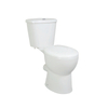 Hot selling Comfortable height Wash Down Toilet --SD306H