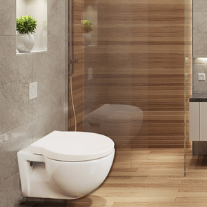 Popular bathroom design Wall Hung Toilet --WH901