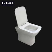 Sanitary Ware Washdown Flushing Toilet Back To Wall Toilet For Hotel 
