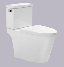 Siphonic Two Piece Toilet With S-Trap Water-Saving Design