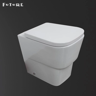 Dual Flush 3L/6L Modern Toilet Back To Wall with P-trap WC Online Manufacturer