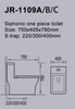 Water Saving Rimless Siphonic One Piece Toilet Super Pipe Design 50mm