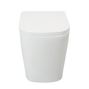 CE Square Short Projection Back To Wall Toilet 480mm Double Button Flushing