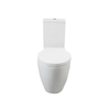 Automatic Deodorization Villa Two Piece Water Closet Close Coupled Bidet Toilet