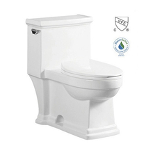 CE Antibacterial Siphonic One Piece Toilet with Dual Flush Ceramic Material