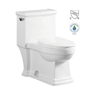 CE Antibacterial Siphonic One Piece Toilet with Dual Flush Ceramic Material