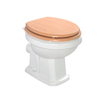 Fashionable Back To Wall Toilet One Piece Siphonic Water Closet