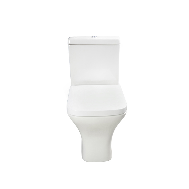 China bathroom ceramic Wash Down Toilet --SD301