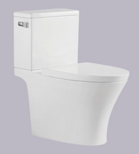 Two Piece Toilet With S-Trap CE Antibacterial Siphonic Two Piece Toilet
