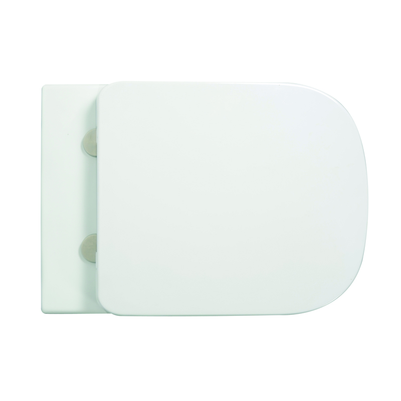CE Square Short Projection Back To Wall Toilet 480mm Double Button Flushing