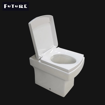 CE Ceramic 450mm Projection Back To Wall Toilet with P-trap Eco Friendly