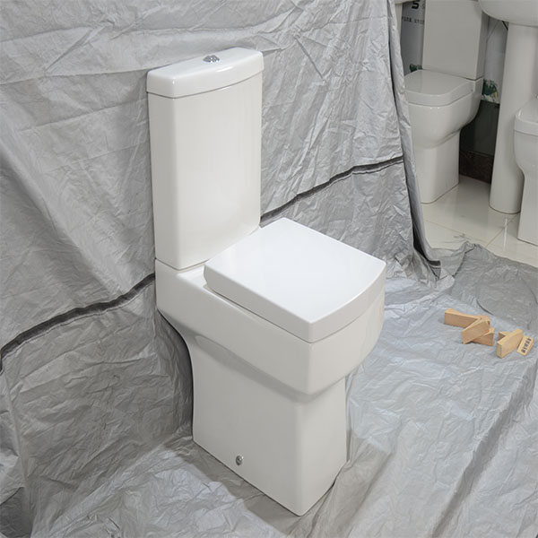 UK Customer - Two Piece Toilet